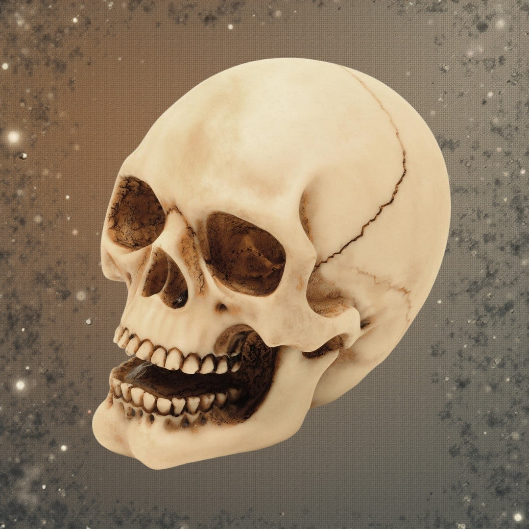 Estatueta de Caveira de 10 cm com Possibilidade de Gravação - Decoração em Poliresina Pintada à Mão para Oferecer aos Amantes do Estilo Gótico e Dark