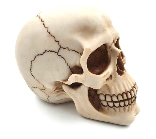 Figura decorativa de caveira 15 cm em poliéster com possibilidade de personalização por gravação
