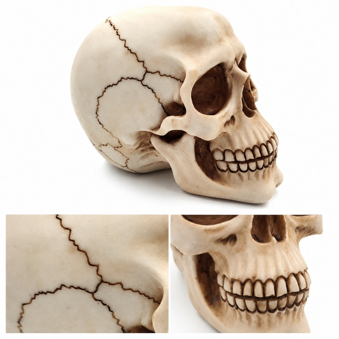 Figura decorativa de caveira 15 cm em poliéster com possibilidade de personalização por gravação