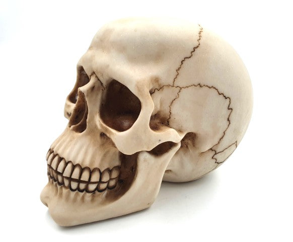 Figura decorativa de caveira 15 cm em poliéster com possibilidade de personalização por gravação