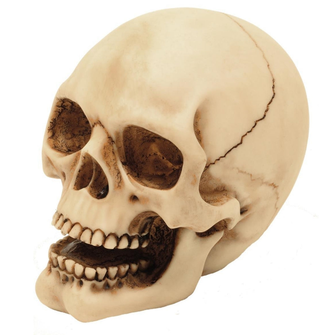 Estatueta de Caveira de 10 cm com Possibilidade de Gravação - Decoração em Poliresina Pintada à Mão para Oferecer aos Amantes do Estilo Gótico e Dark
