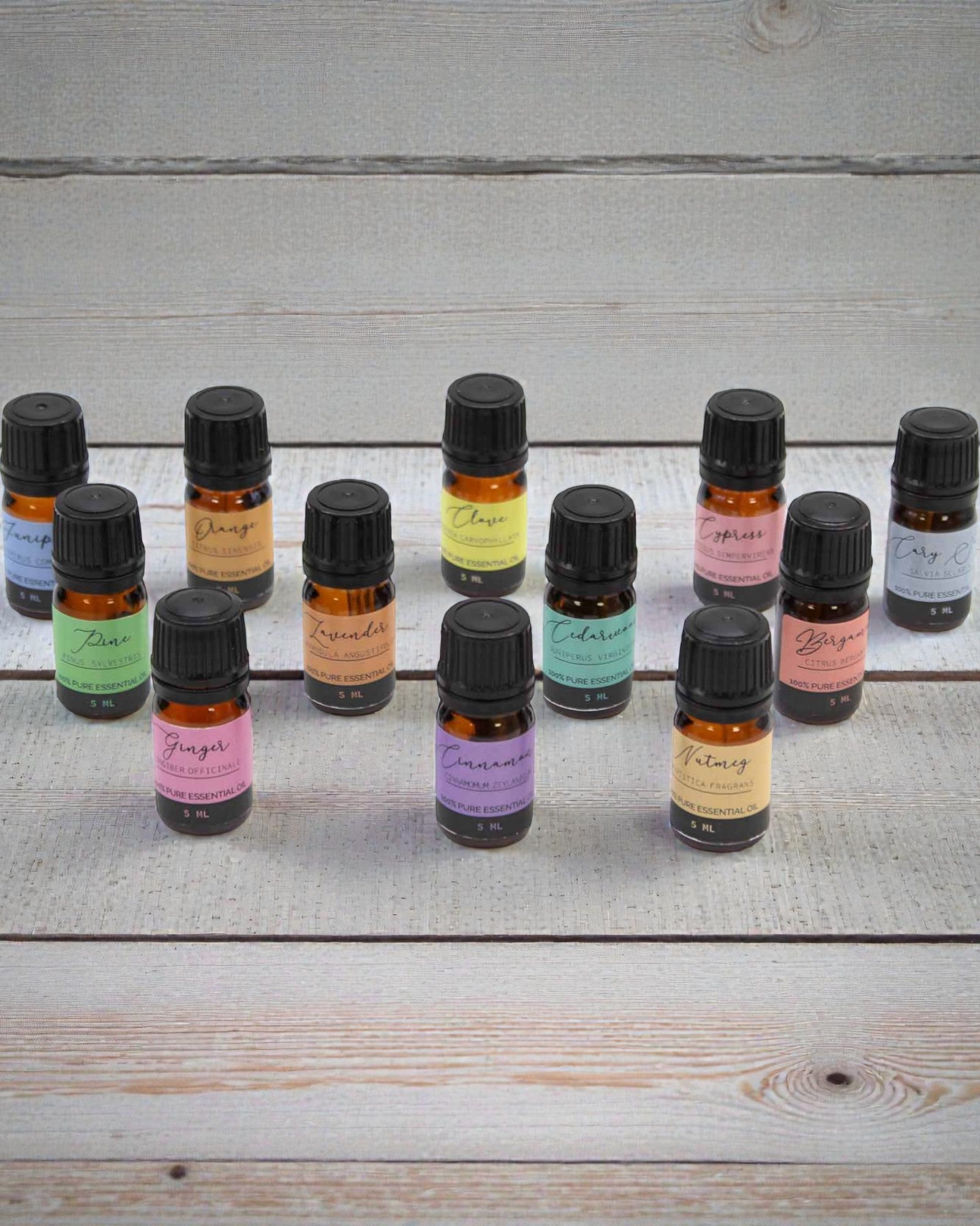 Harmonia Outonal da Natureza – Conjunto de Luxo de 12 Óleos Essenciais de 5 ml com Conta-gotas