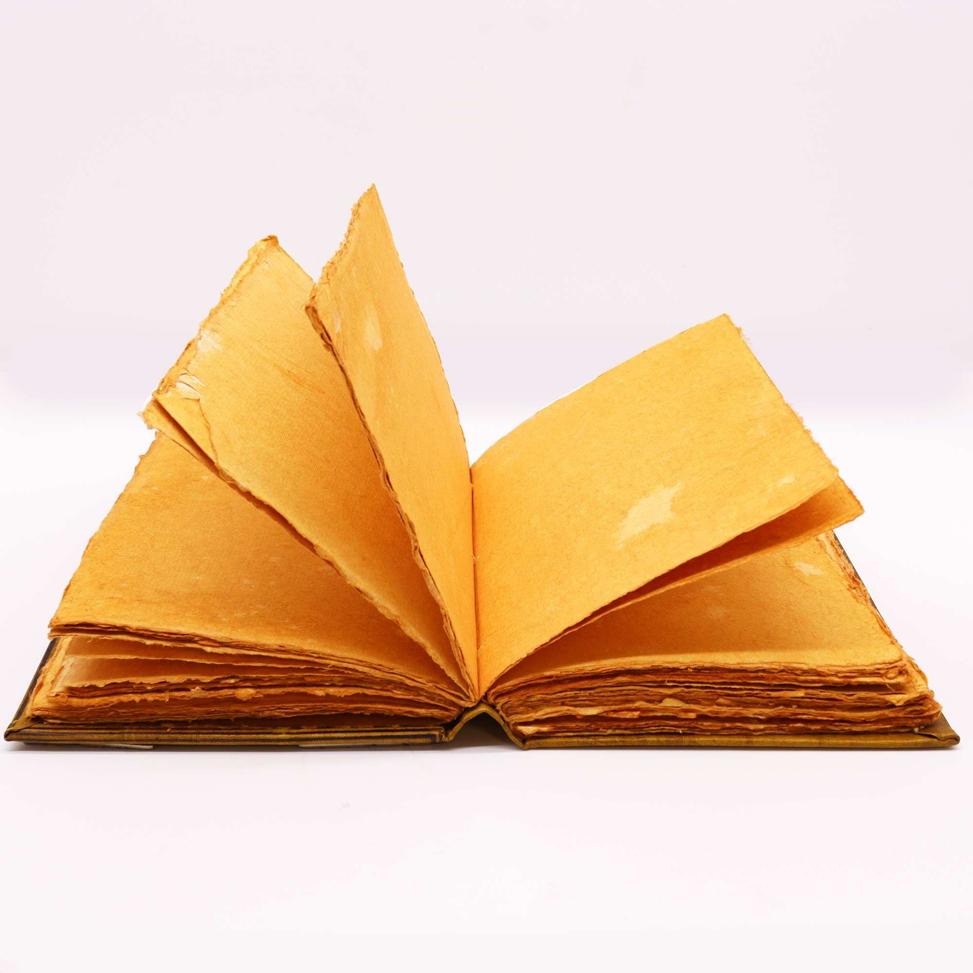 Livro Hefty Coffee Tan com Decoração de Coruja