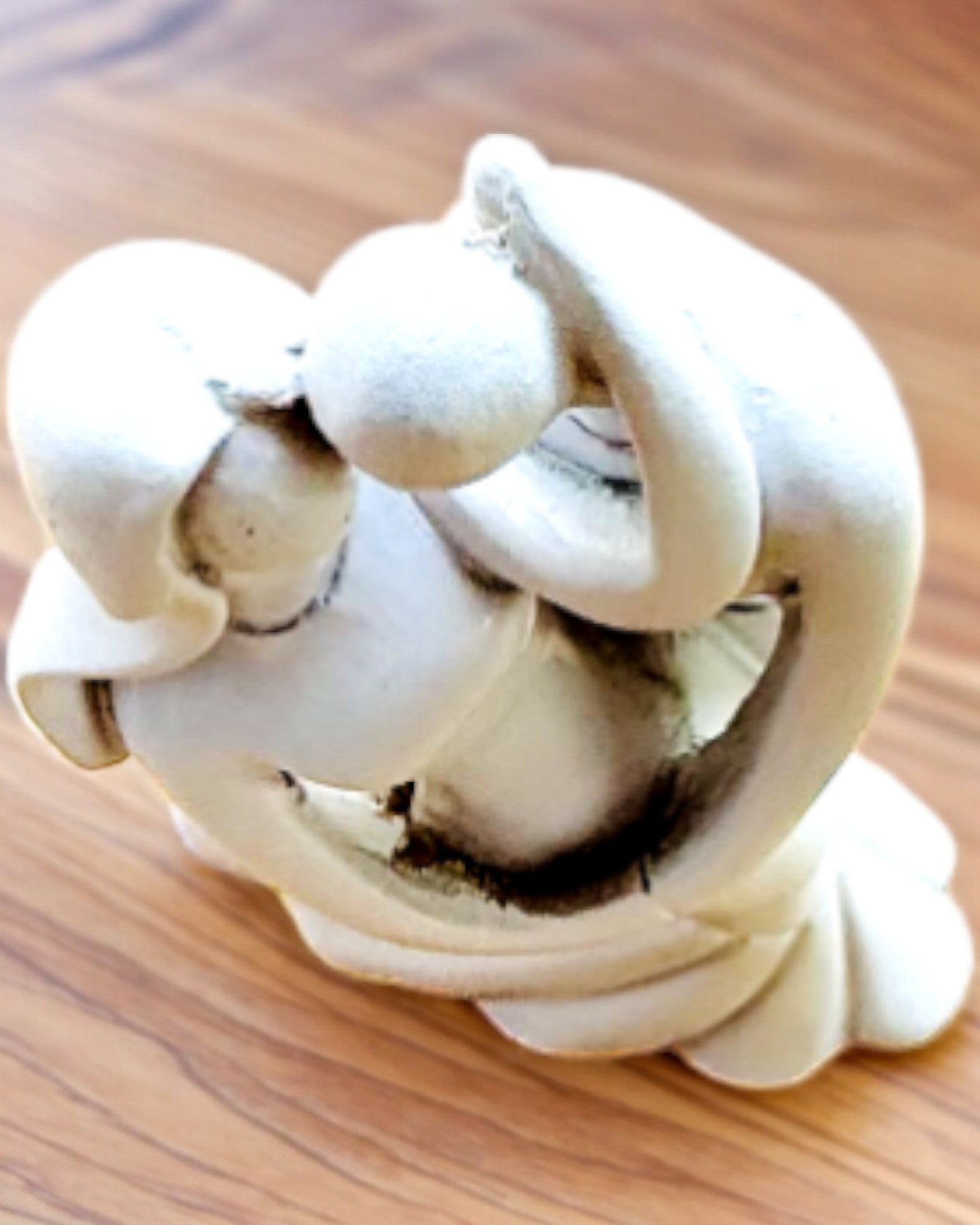 Elegante Conexão - Pequena Estatueta Decorativa com Opção de Gravação - cor branca