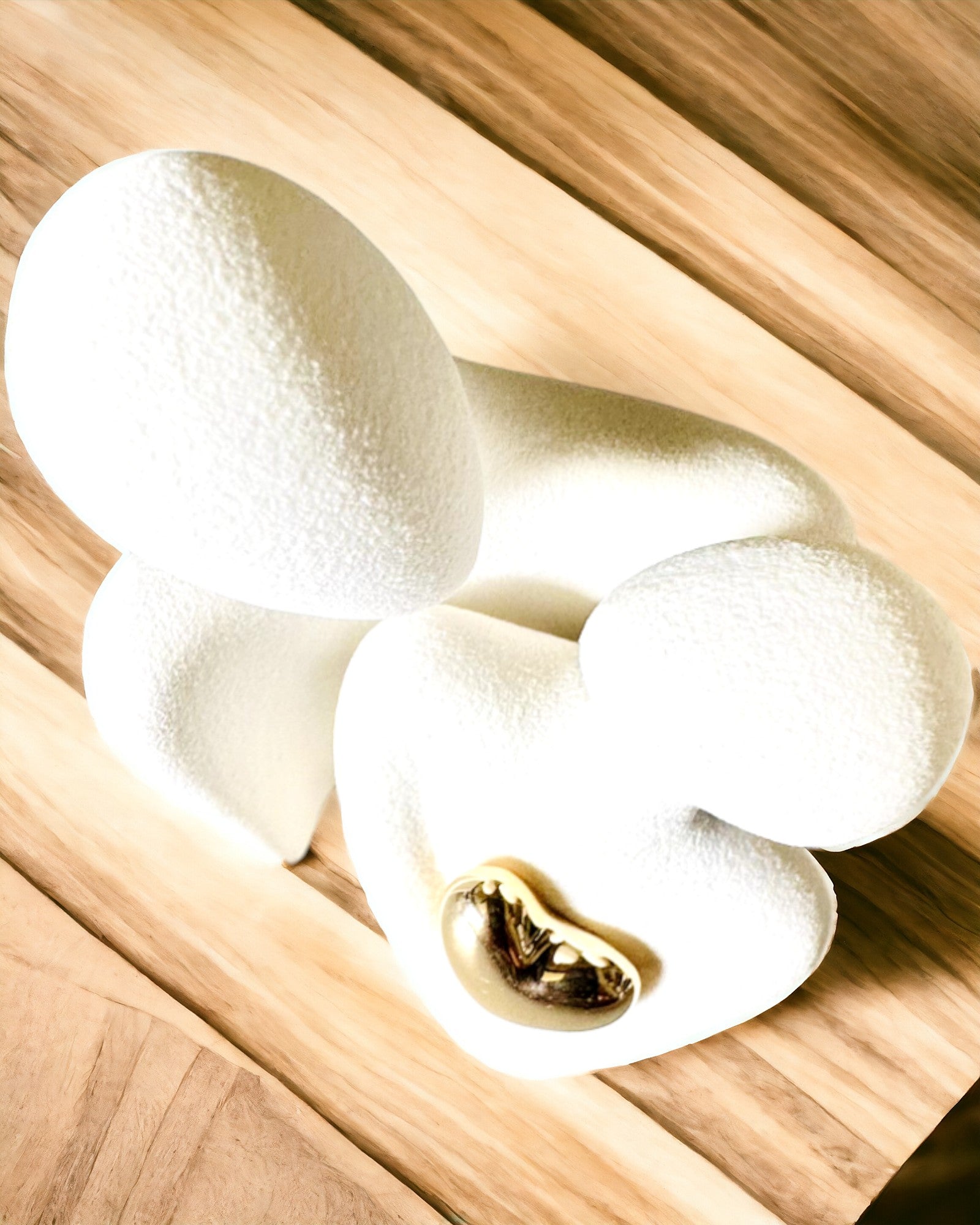 "Amor no coração – Figuras de Família em Cerâmica", possibilidade de personalização com gravação