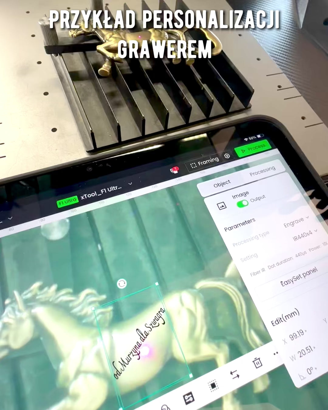 Abridor de garrafas Vintage Animais - 7 variantes, personalização com gravação para presente