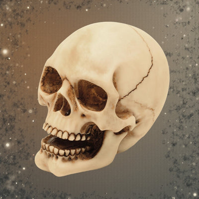 Estatueta de Caveira de 10 cm com Possibilidade de Gravação - Decoração em Poliresina Pintada à Mão para Oferecer aos Amantes do Estilo Gótico e Dark