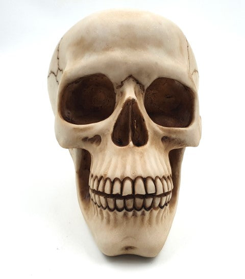 Figura decorativa de caveira 15 cm em poliéster com possibilidade de personalização por gravação