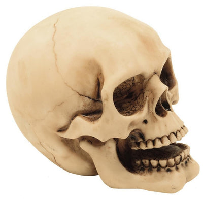 Estatueta de Caveira de 10 cm com Possibilidade de Gravação - Decoração em Poliresina Pintada à Mão para Oferecer aos Amantes do Estilo Gótico e Dark