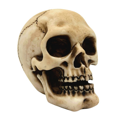 Figura de caveira em poliéster com possibilidade de personalização por gravação