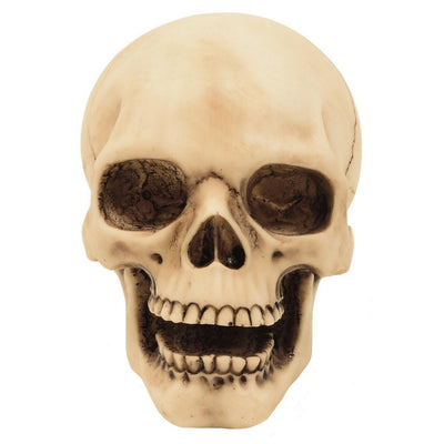 Estatueta de Caveira de 10 cm com Possibilidade de Gravação - Decoração em Poliresina Pintada à Mão para Oferecer aos Amantes do Estilo Gótico e Dark