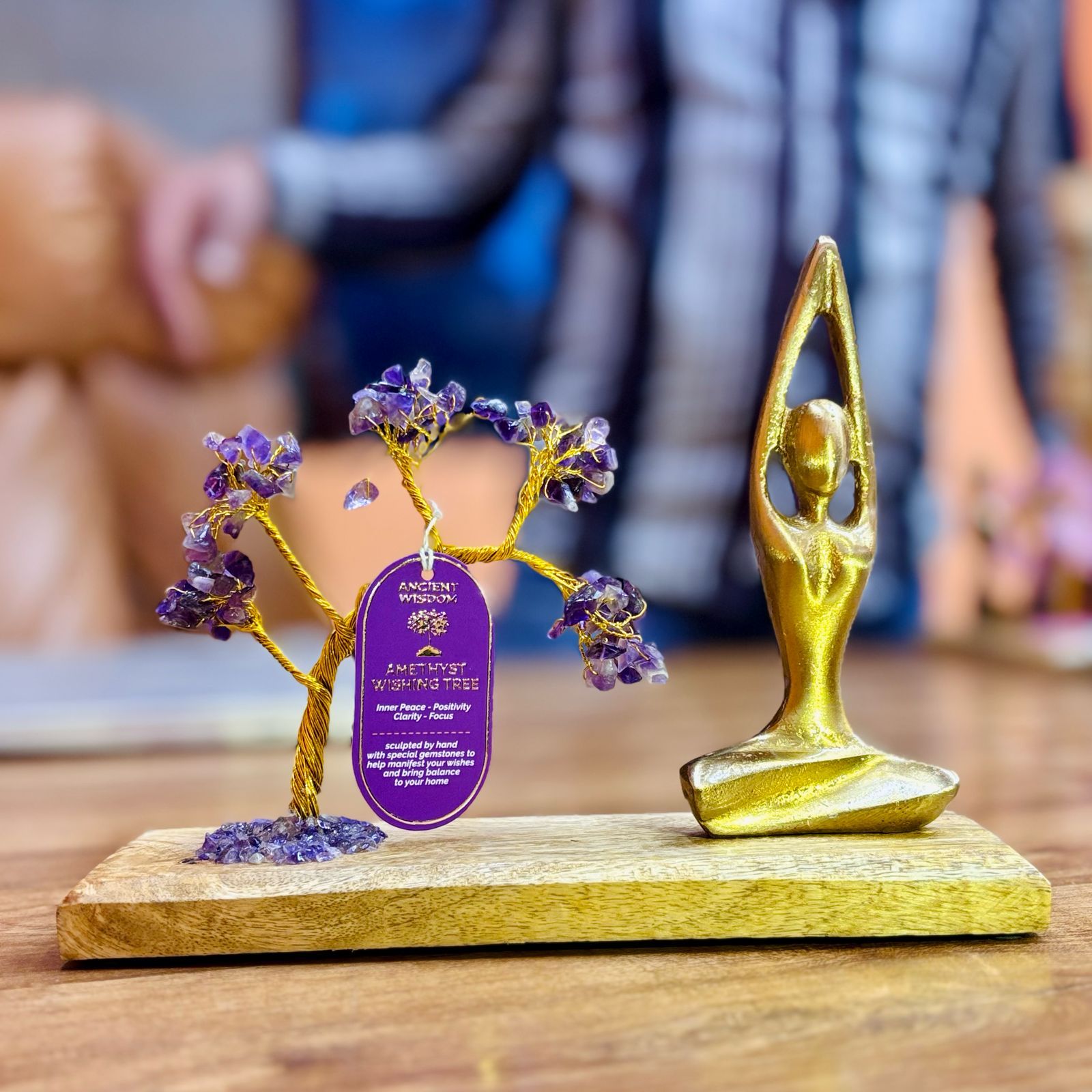 Jardim de Yoga com Pedras Preciosas Sukhasana com Ametista