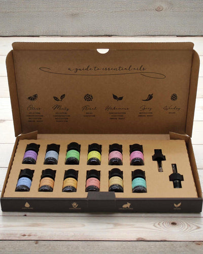Harmonia Outonal da Natureza – Conjunto de Luxo de 12 Óleos Essenciais de 5 ml com Conta-gotas