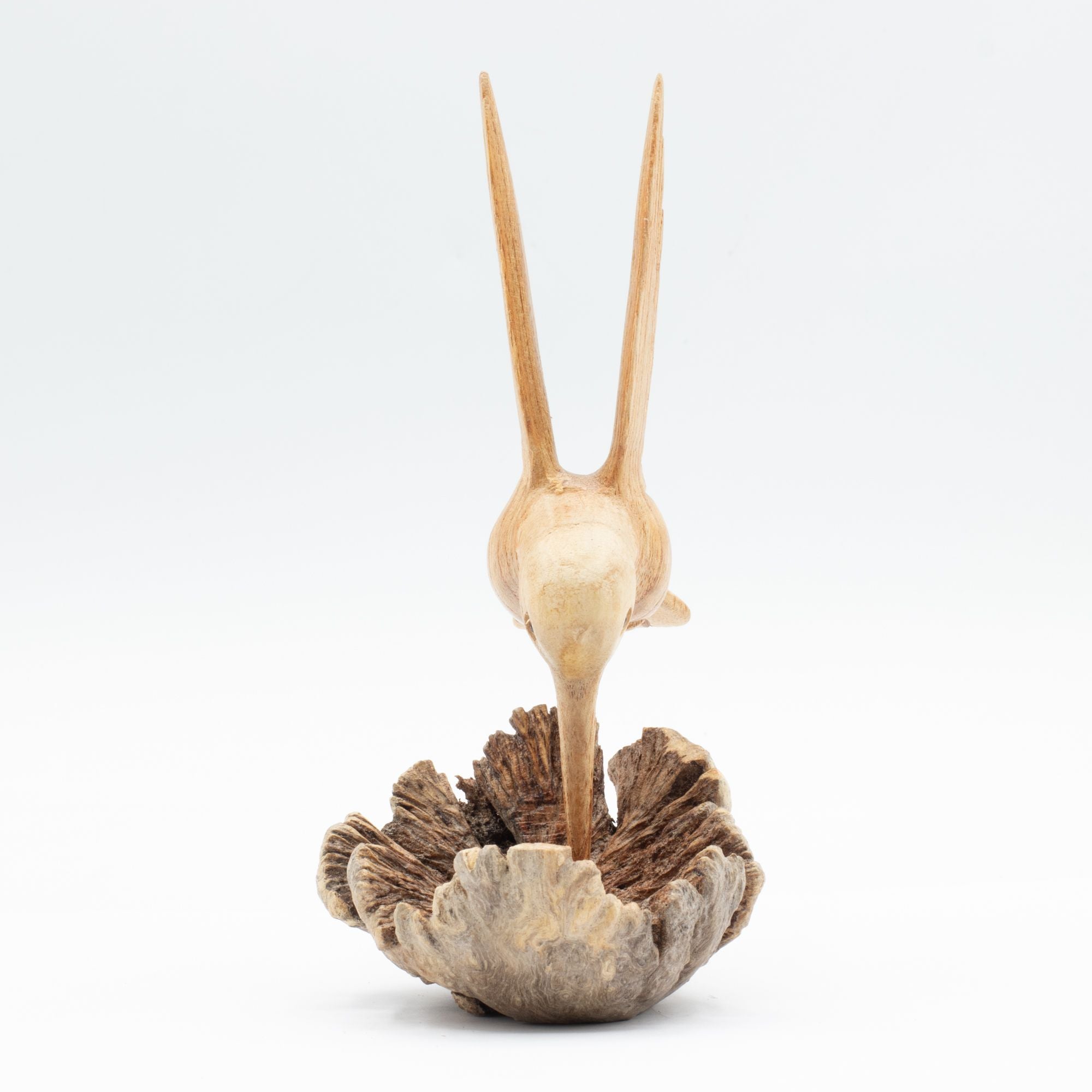 Escultura Manual de Beija-flor a Beber Néctar de Crescimento de Madeira