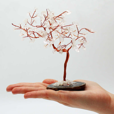 Grande Árvore de Cristal de Quartzo Transparente em Base de Ágata Preta