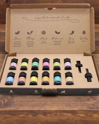 Essência do Mundo – Conjunto Luxuoso dos 12 Óleos Essenciais Mais Populares 5 ml com Conta-gotas