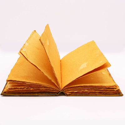 Livro Hefty Coffee Tan com Decoração de Coruja
