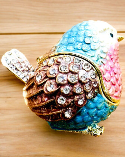 Pardalzinho Colorido com Gravação - Encantador Esconderijo para Tesouros