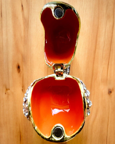 Pardalzinho Colorido com Gravação - Encantador Esconderijo para Tesouros