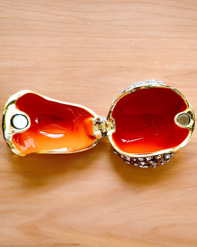 Pardalzinho Colorido com Gravação - Encantador Esconderijo para Tesouros