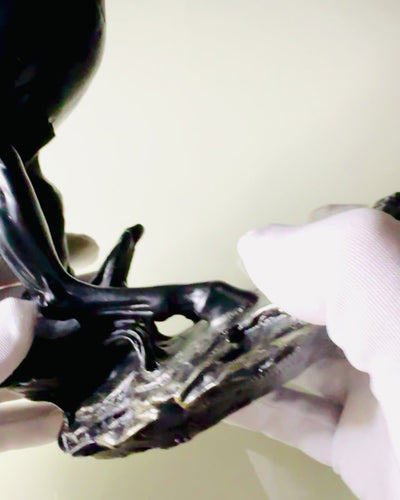 Czarna Perła - Escultura de Cavalo Elegância em Movimento - Possibilidade de Gravação