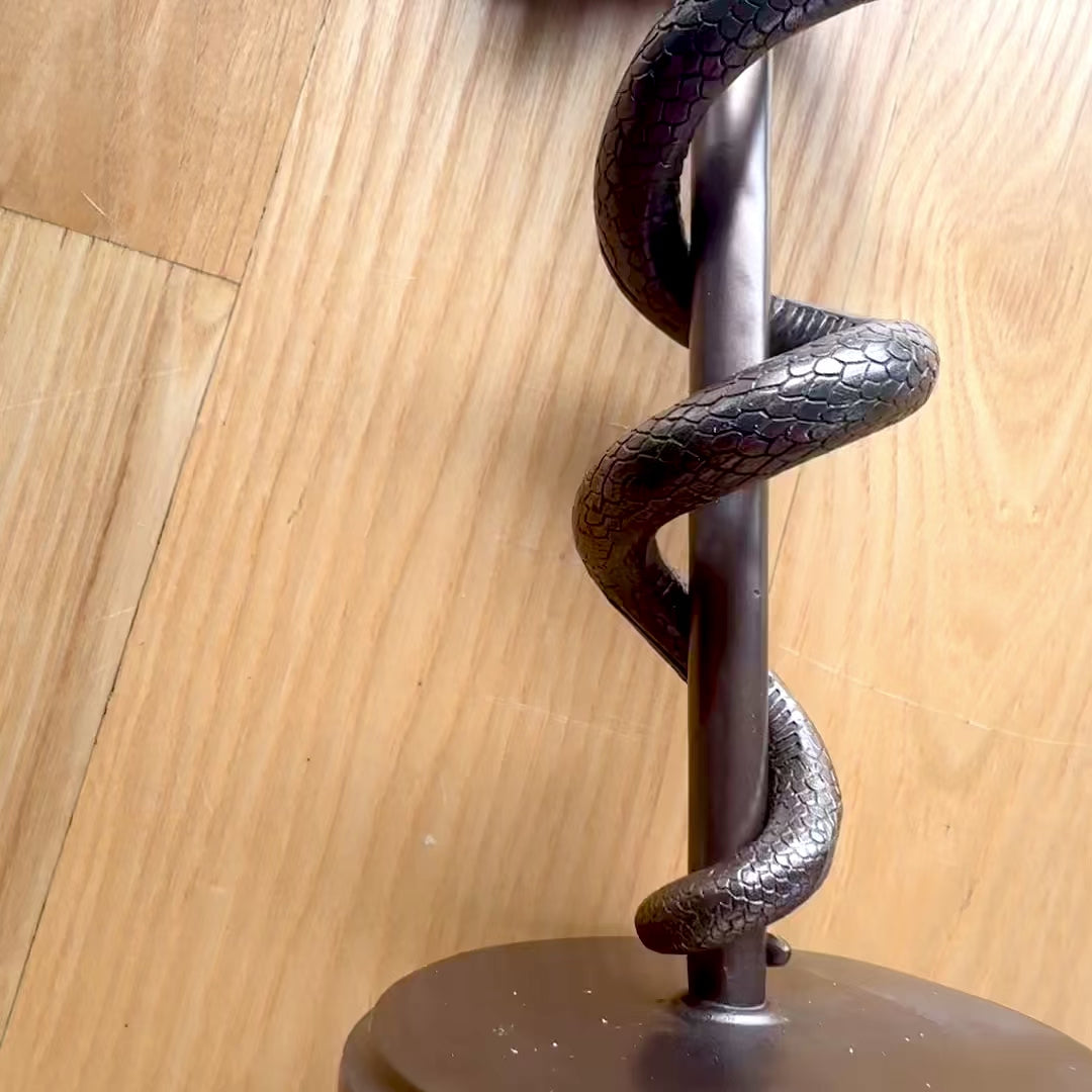 Estatueta Bastão de Asclépio 30 cm em Resina - Presente Personalizado para Médico, Enfermeiro ou Farmacêutico - Decoração em Bronze/Latão com Gravação