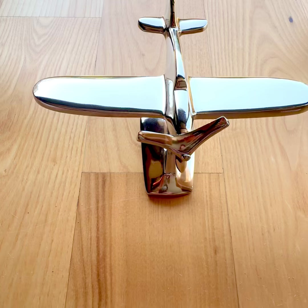 Modelo de avião monomotor N-0896 em alumínio cor prata, 17x14x11 cm