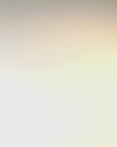 "Królewski Ryk" Saco Quadrado de Ombro com Cabeça de Leão